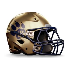 Helmet Helmet