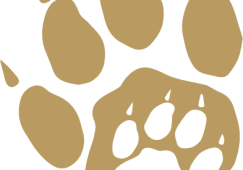 junior-cougar-paw-gold-(500-x-500)